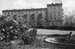 Świdnik