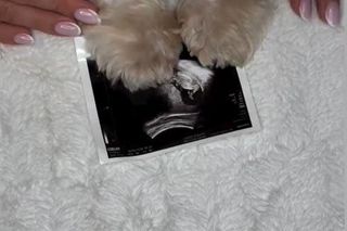 Klaudia z Rolnik szuka żony