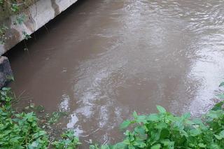 Zagrożenie powodziowe w Kątach Wrocławskich. Gmina apeluje do mieszkańców 