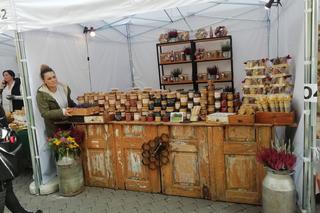 W Rzeszowie ruszył festiwal Karpaty na Widelcu. Co będzie się działo na Rynku? 