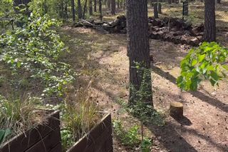 Julia Wieniawa zamieszkała w lesie