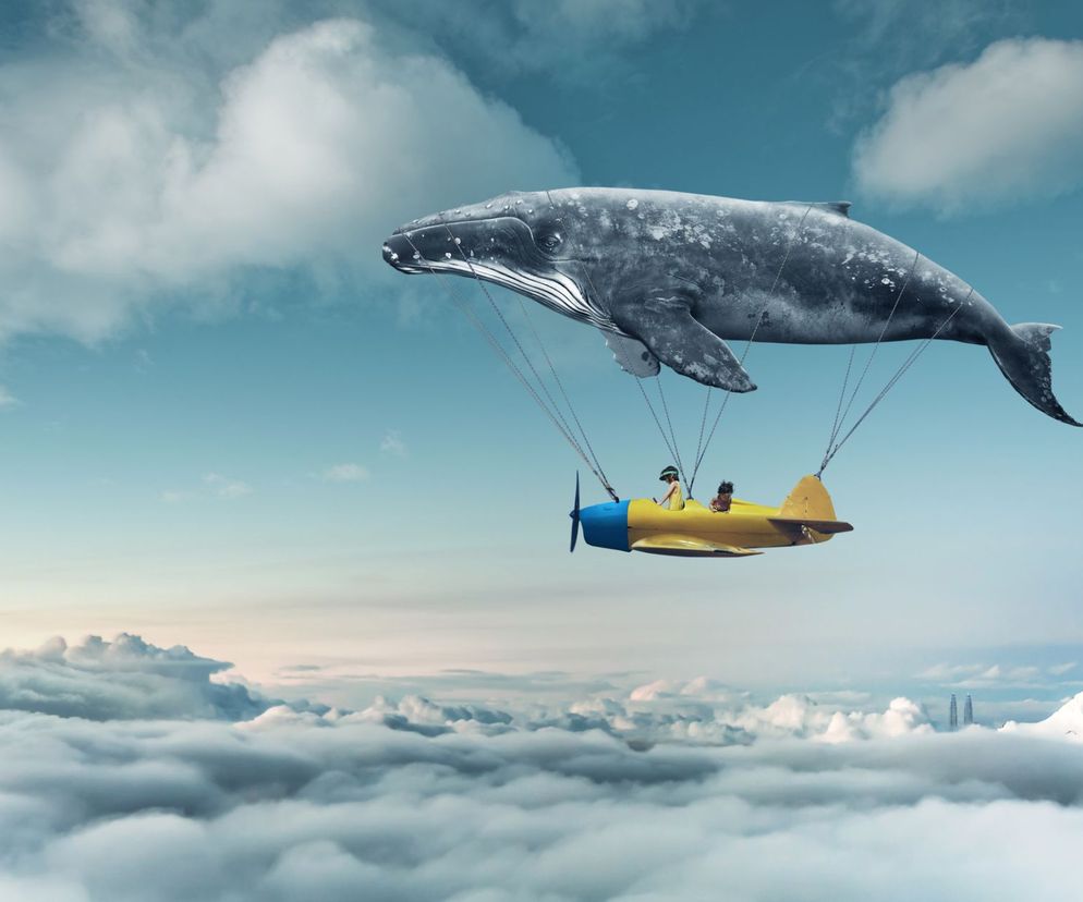 Zespół onejroidalny (oniryczny, zamroczeniowy) - przyczyny, objawy, leczenie