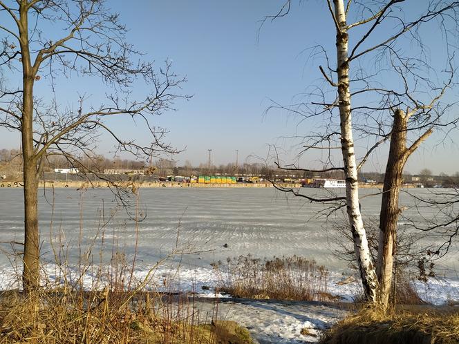 Mimo dodatnich temperatur spacerują po lodzie. Sprawa dzieli mieszkańców Białołęki