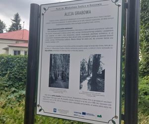 Park im. Szafera w Rzeszowie 