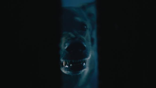 Tak powstawał film "Rój" 