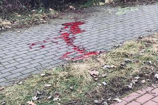 Śmierć 25-latka nad Wisłokiem w Rzeszowie [GALERIA]