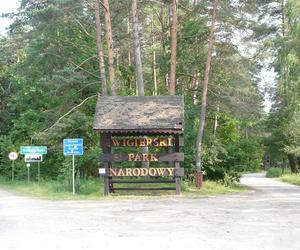 Wigierski Park Narodowy. To bezcenny obszar podlaskiej natury