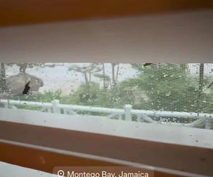 Żebrowscy nadają z Jamajki. Zabrali głos po uderzeniu huraganu