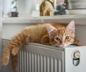 Taka temperatura w domu jest najlepsza dla zdrowia. Oto co mówią badania i zalecenia WHO