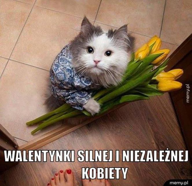 Najlepsze memy na Walentynki. Internet komentuje Święto Zakochanych