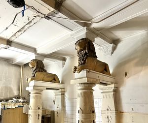 Kamienica przy Matejki 55 w Poznaniu