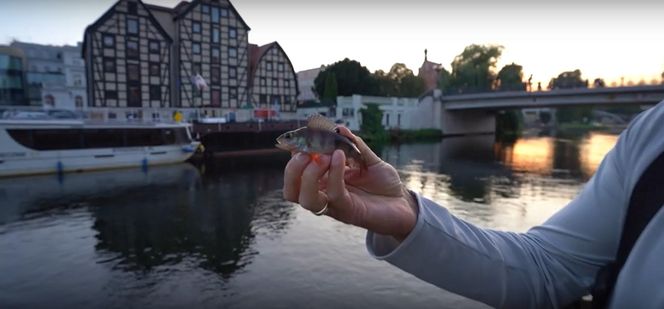 Wędkują w środku miasta i to nocą. Brda i centrum Bydgoszczy to raj dla miłośników street fishingu