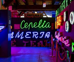 Neony z Muzeum Neonów w Warszawie
