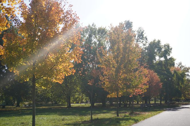 Park im. św. Jana Pawła II w jesiennych barwach