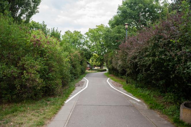 Rowerzyści się wkurzą: Rolkarze i ZDM zabierają im przestrzeń! 