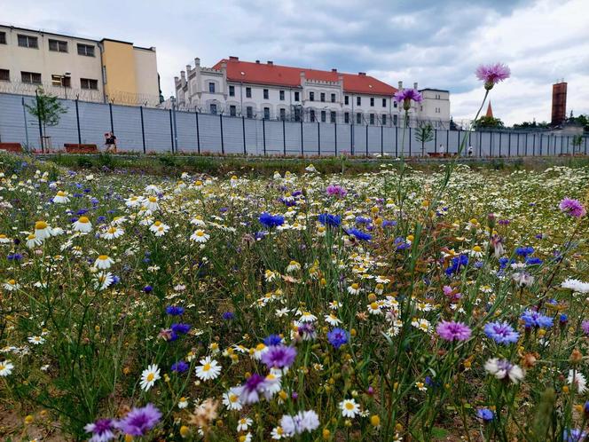 Stary Fordon walczy w prestiżowym konkursie. Każdy może mu pomóc wygrać