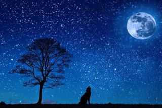 horoskop na majówkę