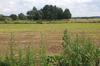 Pobił Bronka, Wlókł za samochodem. Utopił w rowie