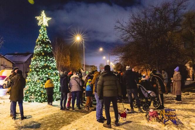 Dzielnicowe choinki w Gdańsku już świecą