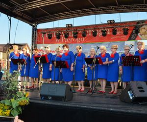 W konkursie na najlepsze pierogi w powiecie Siedleckim w 2025 roku zwyciężył męski zespół KGW „Sami Swoi” z Kotunia! 