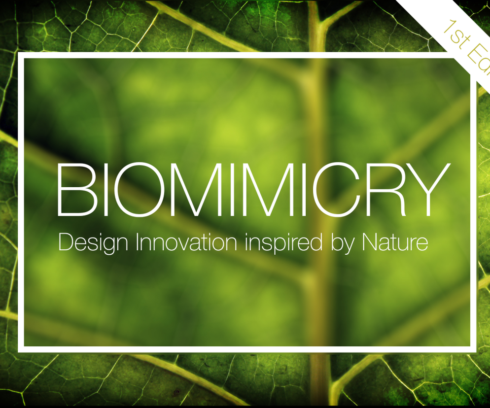 Biomimikra - konkurs na innowacyjny projekt inspirowany naturą