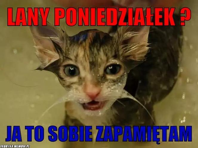 Śmigus-dyngus 2022. Zobacz najlepsze MEMY na LANY PONIEDZIAŁEK! [GALERIA]