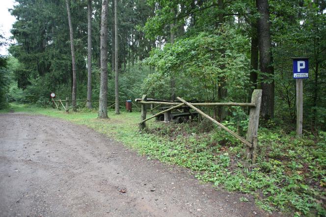 Zastrzelony przez myśliwego