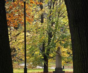 Park im. Henryka Jordana w Krakowie