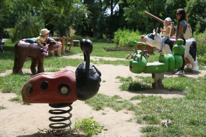 Naturalny plac zabaw przy Dolinie Służewieckiej. Chcieli go spalić, teraz go uwielbiają? 