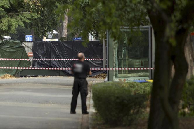 Tygrys rozszarpał swojego opiekuna. Wstrząsające okoliczności koszmaru w zoo 