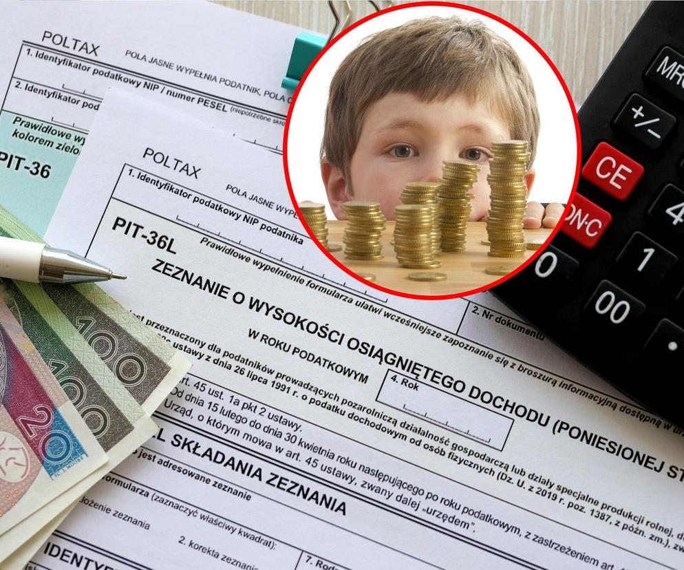 Podatki 2024 Zwrot Podatku Na Dziecko Trzy Ulgi Podatkowe Które Można łączyć Super Biznes 2774