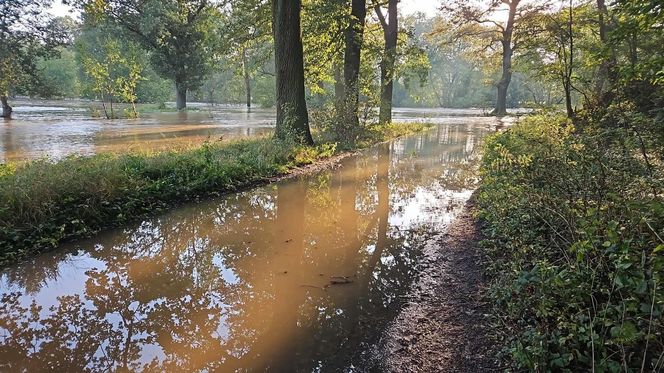 Powódź w gminie Szprotawa 