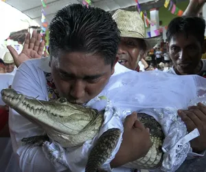 Piękny i bestia! Meksykański burmistrz poślubił samiczkę kajmana