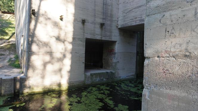 Monumentalna śluza Leśniewo z symbolami III Rzeszy ukryta w mazurskim lesie. Jest owiana tajemnicą [ZDJĘCIA]