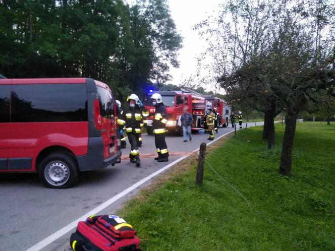 Kicznia. Uderzył samochodem w budynek. Wszystko przez dzikie zwierzę