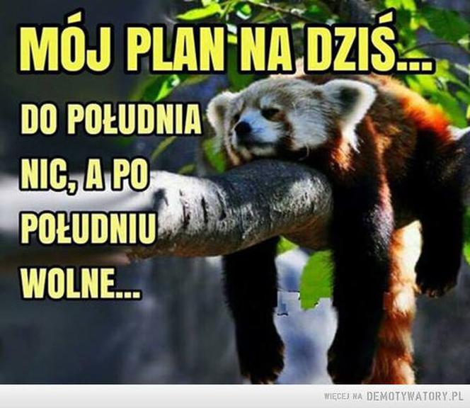 Majówka 2020 - zapamiętamy ją na długo!