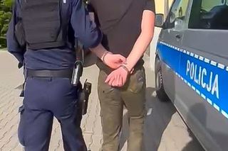 Próbował schować się w... tapczanie