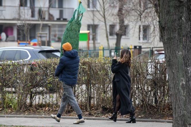 Julia Wieniawa i Nikodem Rozbicki kupili choinkę