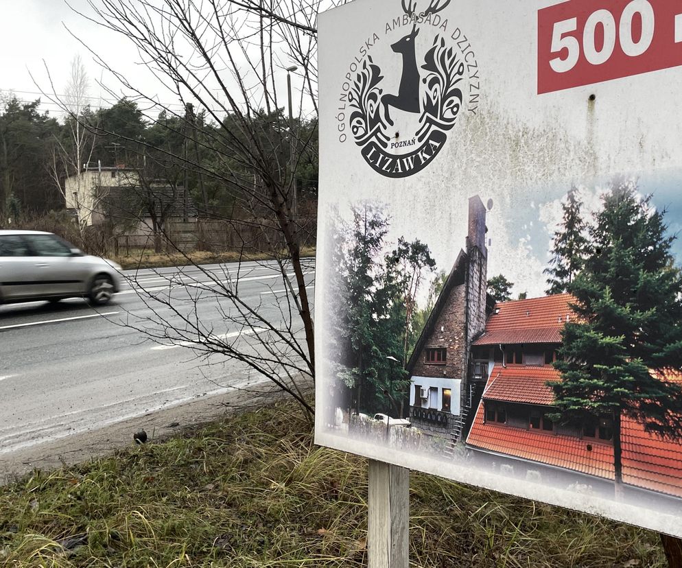 Zajazd Lizawka koło Poznania