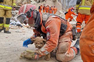 Maksiu cudem przeżył pod gruzami zawalonej kamienicy. Nie opuścił swojej pani 