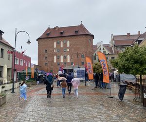 Półmaraton Ślimaka 2025