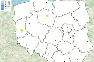 Policyjna mapa wypadków ze skutkiem śmiertelnym 