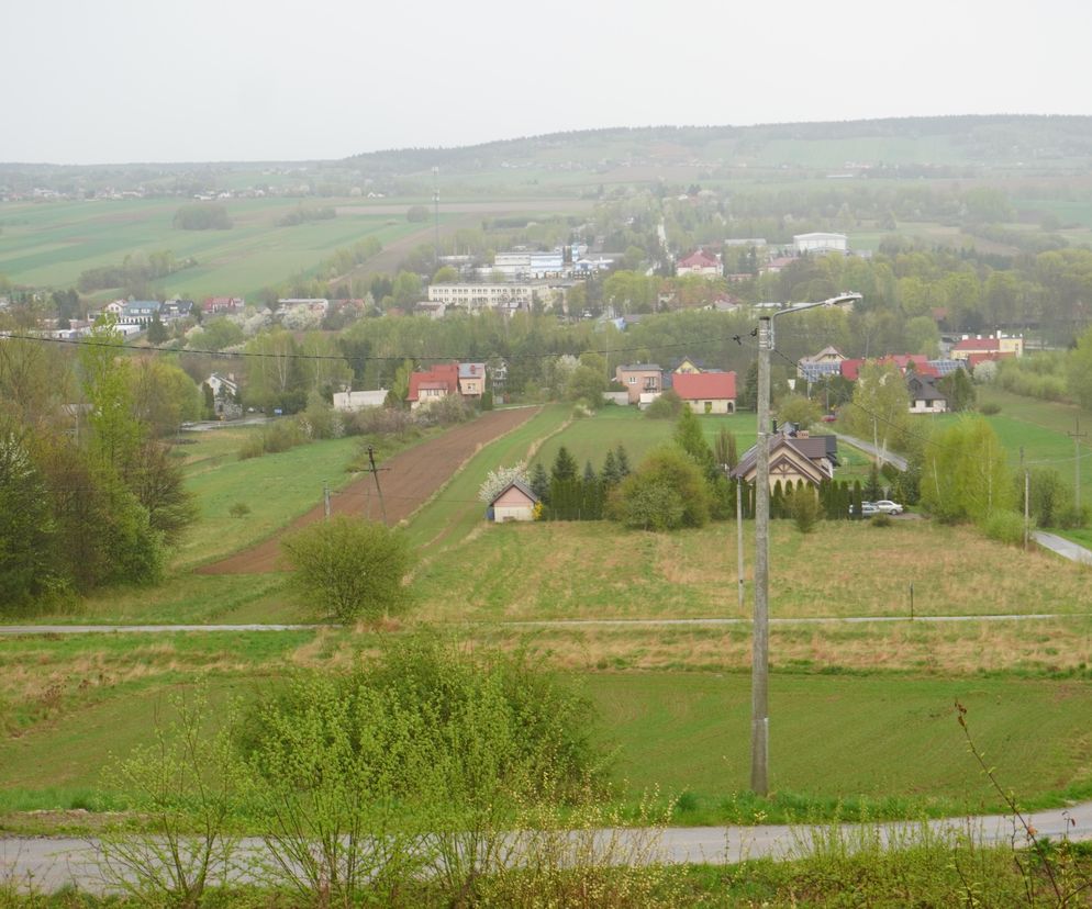 Widok na Bodzentyn z Podgórza