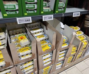 Porównanie cen w Lidlu na Litwie i w Polsce