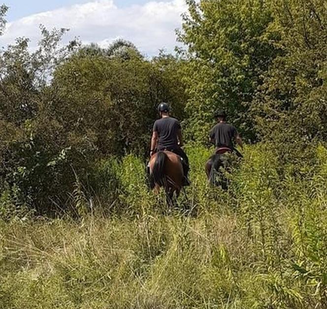 Nie żyje młody żołnierz. Zaginął latem 2022 roku, jego ciało znaleziono na terenie jednostki wojskowej