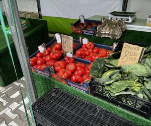Ceny na bazarach w Białymstoku. Tyle zapłacimy za warzywa i owoce
