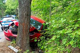 Pijany kierowca rozbił się na drzewie. Pięć osób rannych, w tym troje dzieci!