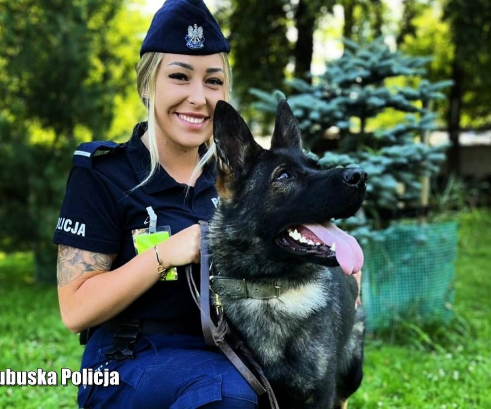 Policyjne psy w Lubuskiem - LAFI (Gorzów)