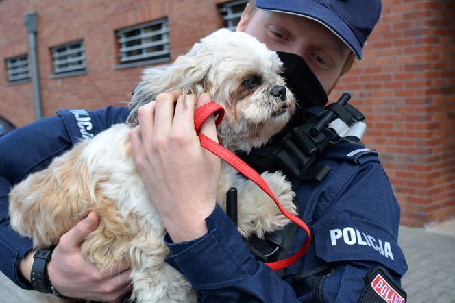 Policjant przygarnął psa