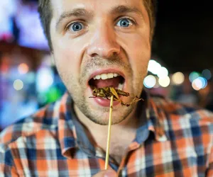 Przetestował suszone świerszcze o smaku śmietany. „Smak 8/10”, tylko dla odważnych